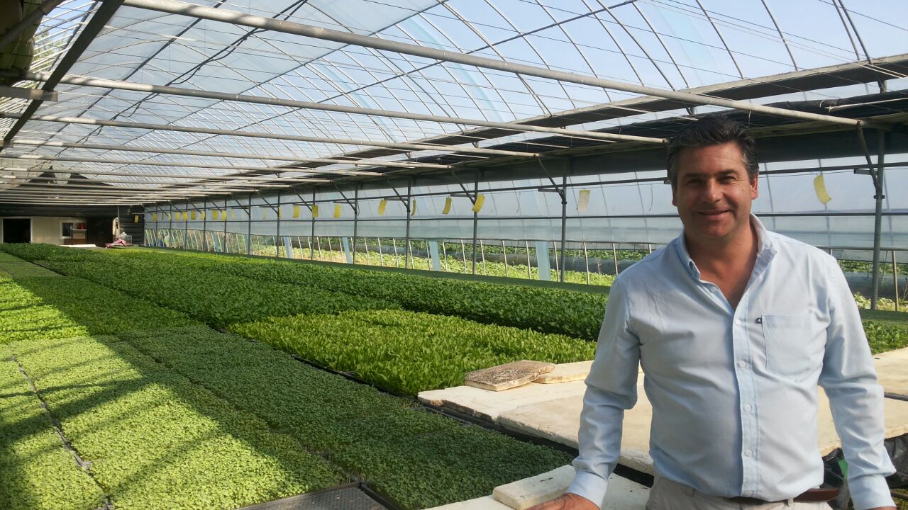 andres en plantaciones coreanas